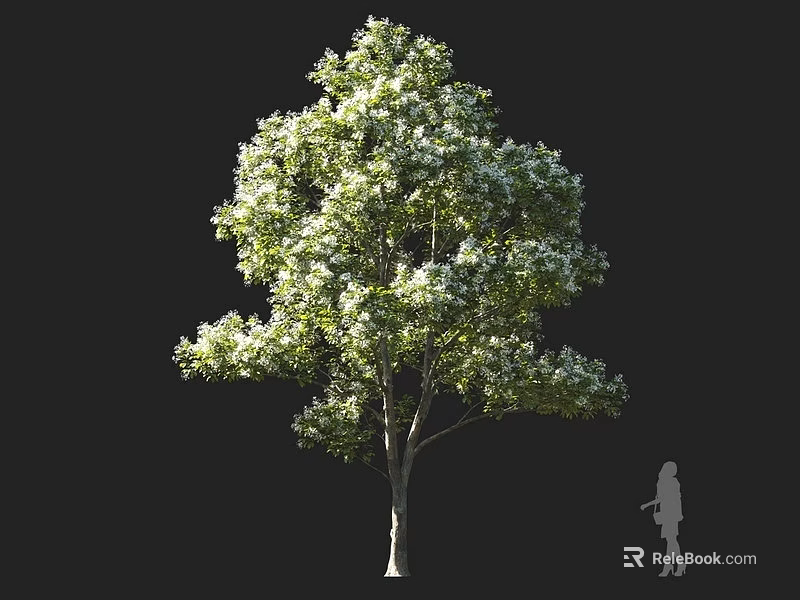 Tall Green Arbor With Dense Foliage And White Blossoms Near Silhouette Figure 3d model 