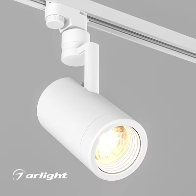 Modern White Track Mounted Downlight Spotlight With Adjustable Angle And Bright Illumination 3d model