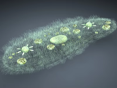 modern bacteria 3d model