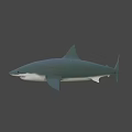 Game and Movie Character Shark 3D Model with Gray Blue Body Open Mouth and Fins