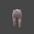 Cute Pink Pig 3D Model as Game Movie Character in Rendered Scene