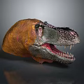 Tyrannosaurus Rex Dinosaur Head Model with Open Mouth Sharp Teeth and Orange Gray Skin