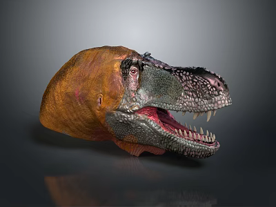Tyrannosaurus Rex Dinosaur Head Model with Open Mouth Sharp Teeth and Orange Gray Skin 3d model
