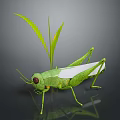 Green Grasshopper With Red Eyes And White Wings Near Green Grass Leaves On Gray Background