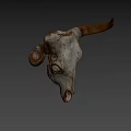 Weathered Bull Skull Against Blue Sky With Dry Land And Trees