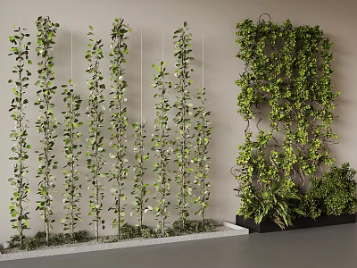 Indoor Living Plant Screen With Vertical Greenery And Climbing Vines 3d model