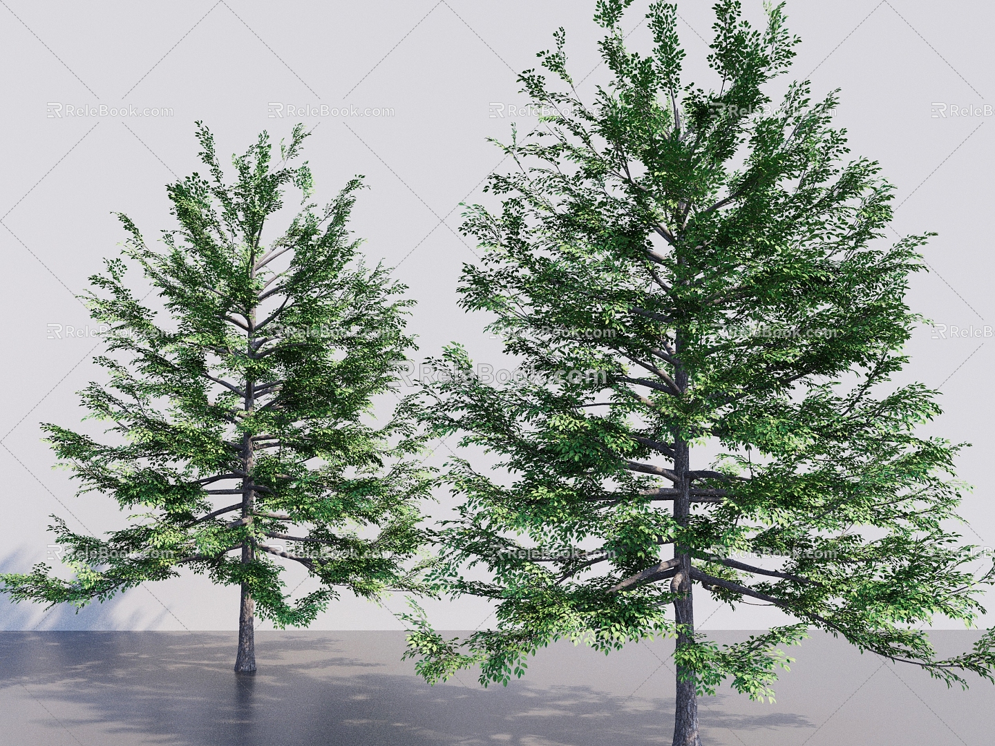 modern vinyl tree tall tree leaflet tree deciduous tree tree big tree big tree 3d model