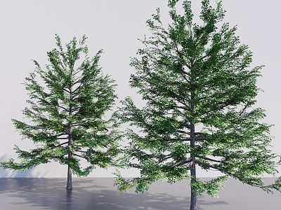 modern vinyl tree tall tree leaflet tree deciduous tree big tree big tree 3d model