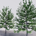 modern vinyl tree tall tree leaflet tree deciduous tree tree big tree big tree 3d model