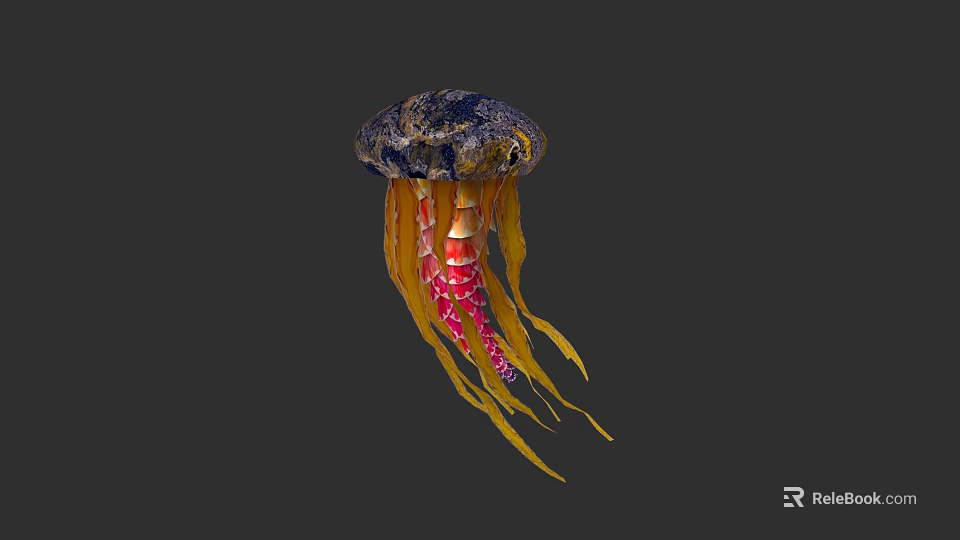 Colorful Jellyfish with Blue Umbrella Body and Yellow Red Tentacles in Underwater Habitat 3d model 