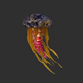 Colorful Jellyfish with Blue Umbrella Body and Yellow Red Tentacles in Underwater Habitat