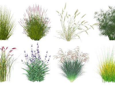 Various Aquatic Plants with Green Leaves Purple Flowers and Feathery Foliage for Water Garden 3d model