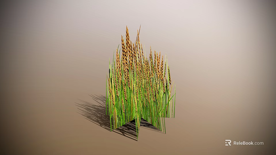 Tall Green Stem Cereal Cluster With Brown Grain Ears On Light Background 3d model 