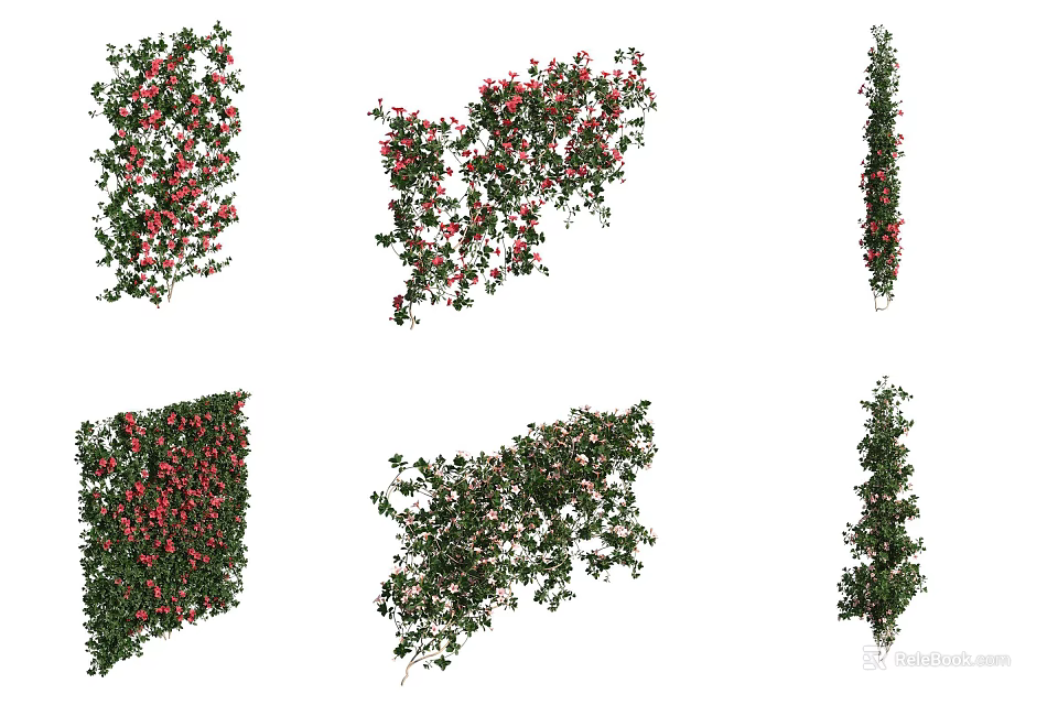 Various Shaped Decorative Vines With Green Leaves And Red Berries 3d model 
