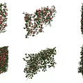 Various Shaped Decorative Vines With Green Leaves And Red Berries