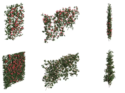 Various Shaped Decorative Vines With Green Leaves And Red Berries 3d model