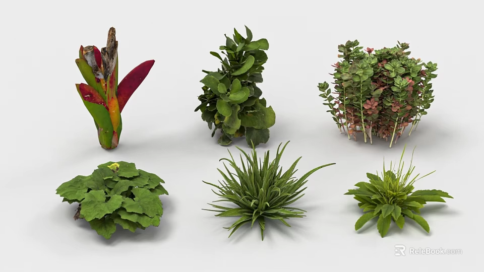 Garden Landscape Design with Various Green Plants and Foliage Types 3d model 