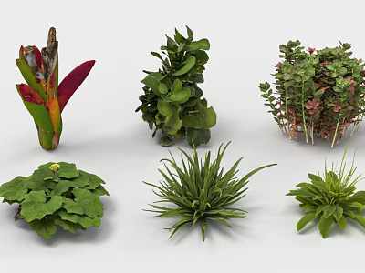 Garden Landscape Design with Various Green Plants and Foliage Types 3d model