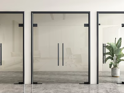 Modern Double Glass Doors With Black Frames In Indoor Space And Green Plant 3d model
