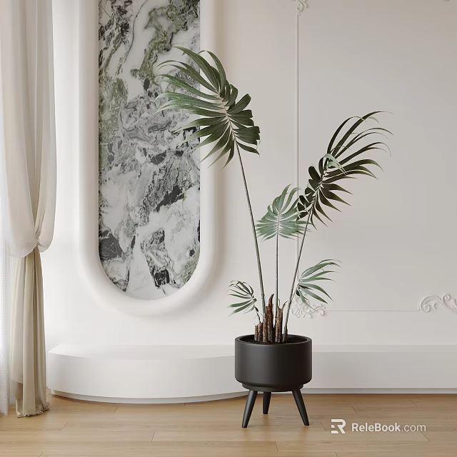 Elegant Indoor Potted Plant with Broad Green Leaves in Modern Black Pot 3d model 