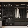 Modern Black Wardrobe Interior Design With Glass Doors Hanging Dresses Folded Clothes And Shoes