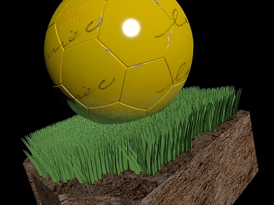 Sports Equipment Yellow Soccer Ball With Signatures On Green Grass Wooden Block 3d model