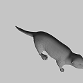 Realistic 3D Otter Model With Brown Fur Standing On Green Background