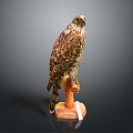 Modern Eagle Carving 3d model