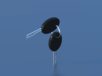 Black House Keys With Metal Blades And Key Ring For Daily Use 3d model