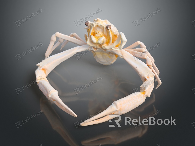 crab sea crab river crab hairy crab bread crab hermit crab big crab small crab marine animal fish model