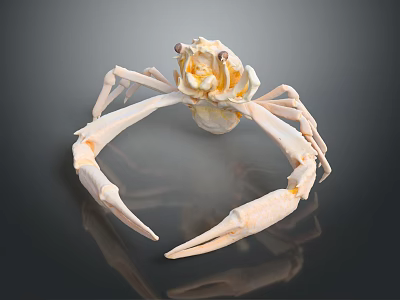 Unique Crab Shaped Golden Jewelry Piece With Detailed Claws And Elegant Design 3d model