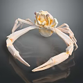Unique Crab Shaped Golden Jewelry Piece With Detailed Claws And Elegant Design