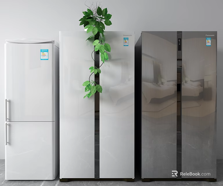 Modern Home Refrigerators In White And Black With Green Plant Decoration 3d model 