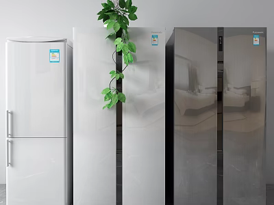 Modern Home Refrigerators In White And Black With Green Plant Decoration 3d model