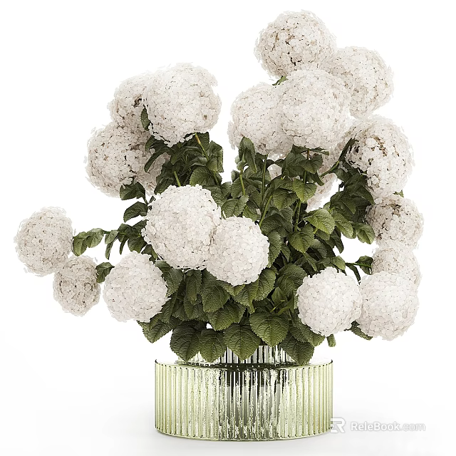 Decorative Ornament Set with White Hydrangea Flowers in Vertical Striped Transparent Glass Vase 3d model 