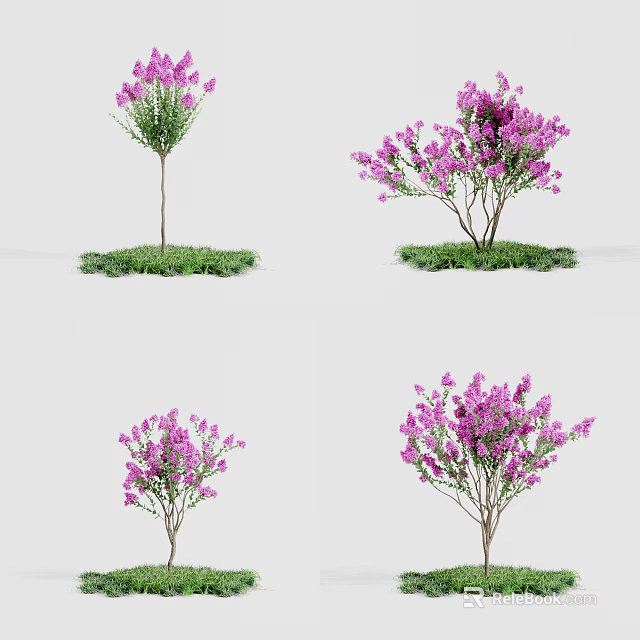 Various Arbor Trees With Purple Flowers In Different Forms On Green Grass 3d model 