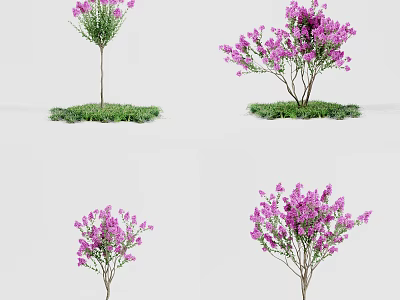 Various Arbor Trees With Purple Flowers In Different Forms On Green Grass 3d model