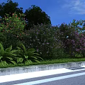 Purple Flowering Bushes With Green Ferns In Grass Area By Concrete Edge Under Blue Sky