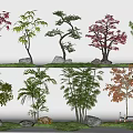 Maple Leaf Plant Combination Red Maple Scatter Kwai Maple Leaf Pine Coniferous Bamboo Arbor Tree 3d model