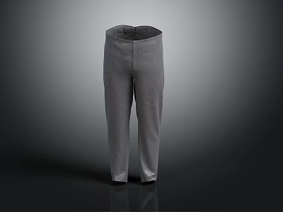 Gray Straight Fit Casual Pants Modern Design Comfortable Versatile Daily Style 3d model