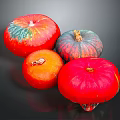 Colorful Fresh Pumpkins in Red Orange and Green Striped Hues on Dark Display Background