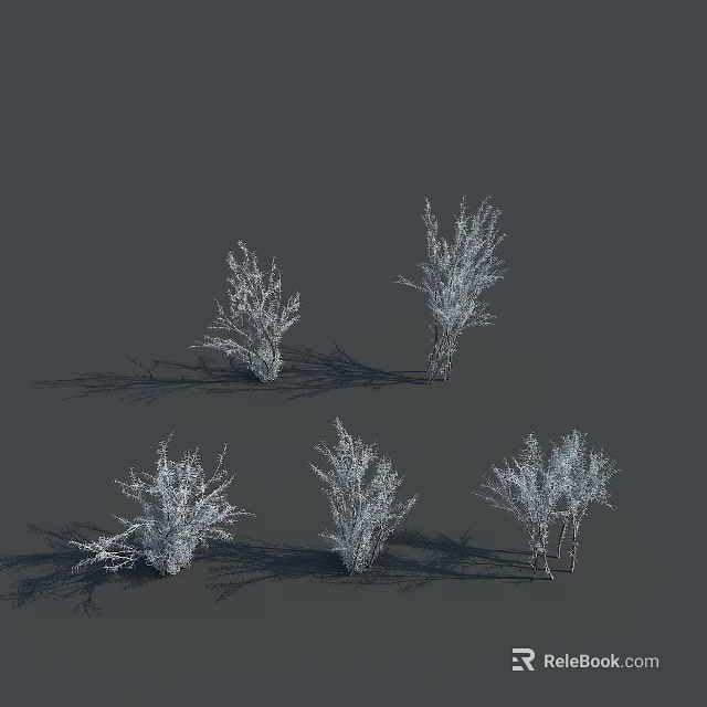 Five White Shrubs Rendered On Gray Background With Shadow Details 3d model