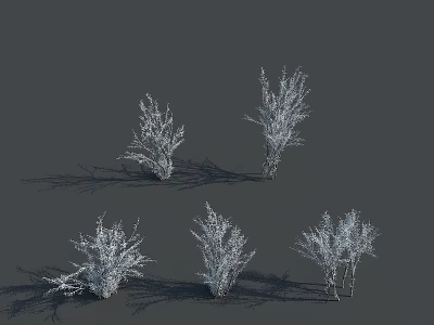 Five White Shrubs Rendered On Gray Background With Shadow Details 3d model