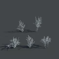 Five White Shrubs Rendered On Gray Background With Shadow Details 3d model