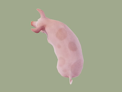 Pink Reptile With Spotted Skin On Green Background In Studio View 3d model