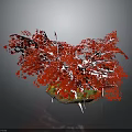 Vibrant Red Plant with White Branches and Green Base on Dark Background