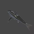 Gray Great White Shark 3D Render Swimming With Open Mouth in Dark