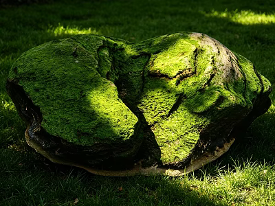 Large Moss Covered Stone Supported by Wood in Grass Field with Sunlight and Shadows 3d model