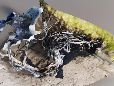 Arbor With Exposed Twisted Roots And Natural Texture On Earth Ground 3d model