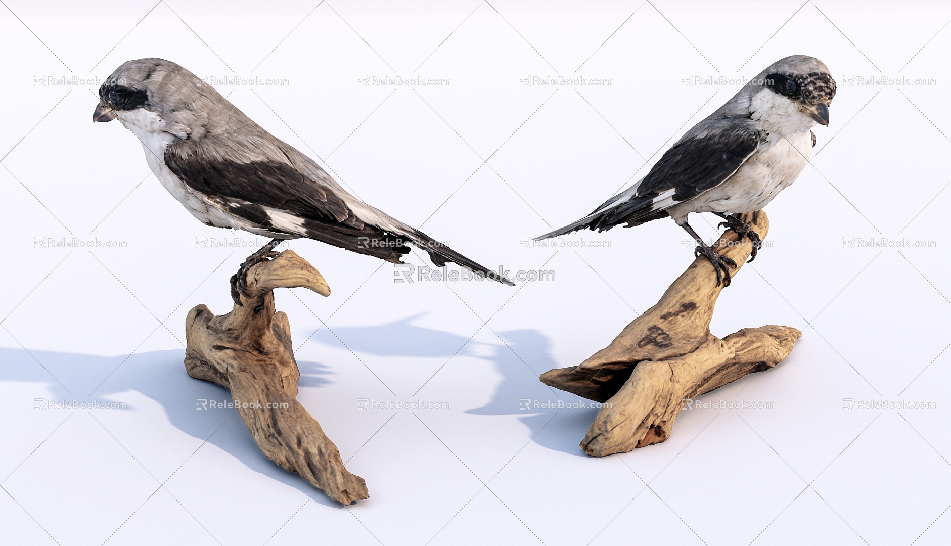 Modern bird standing on wood 3d model